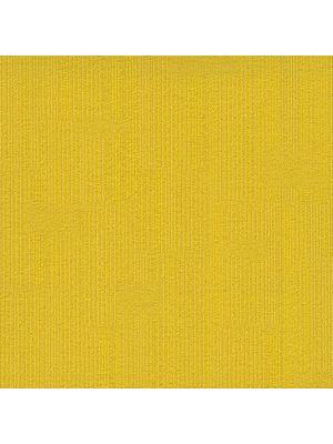 Koberce - Fashion& sd b2b 50x50 cm - MOD-FASHION - 240
