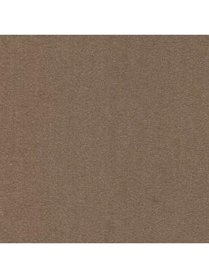 Carpets - Cambridge& b2b 50x50 cm - MOD-CAMBR - 181