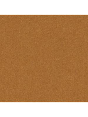 Carpets - Cambridge& b2b 50x50 cm - MOD-CAMBR - 213