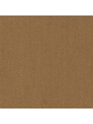 Carpets - Cambridge& b2b 50x50 cm - MOD-CAMBR - 224
