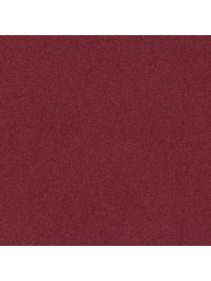 Carpets - Cambridge& b2b 50x50 cm - MOD-CAMBR - 307