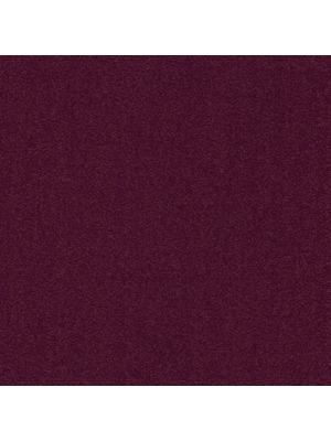 Carpets - Cambridge& b2b 50x50 cm - MOD-CAMBR - 346