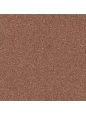 Carpets - Cambridge& b2b 50x50 cm - MOD-CAMBR - 386