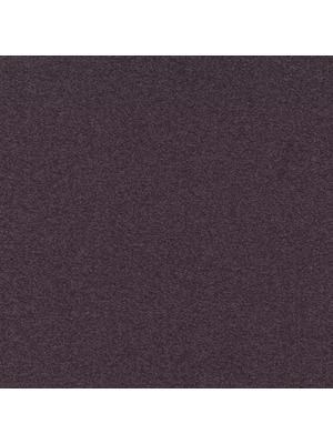 Carpets - Cambridge& b2b 50x50 cm - MOD-CAMBR - 482