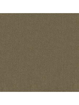 Carpets - Cambridge& b2b 50x50 cm - MOD-CAMBR - 601