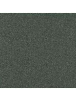 Carpets - Cambridge& b2b 50x50 cm - MOD-CAMBR - 613