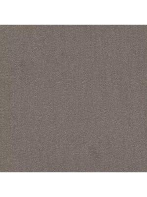 Carpets - Cambridge& b2b 50x50 cm - MOD-CAMBR - 817