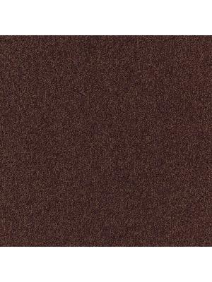 Koberce - Spark b2b 50x50 cm - MOD-SPARK - 313