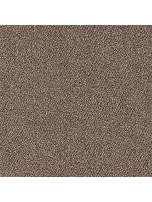 Koberce - Perpetual sd b2b 50x50 cm - MOD-PERPETUAL - 136