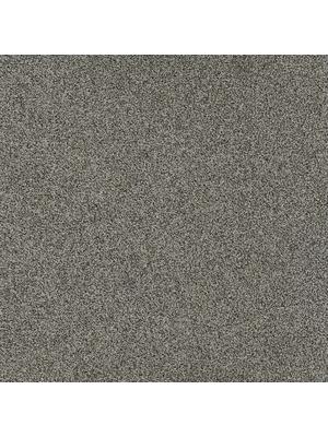 Carpets - Gleam sd b2b 50x50 cm - MOD-GLEAM - 033