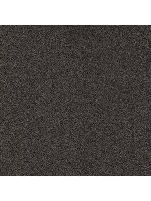 Carpets - Gleam sd b2b 50x50 cm - MOD-GLEAM - 826