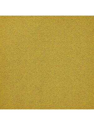Koberce - First Forward sd b2b 50x50 cm - MOD-FFORWARD - 210