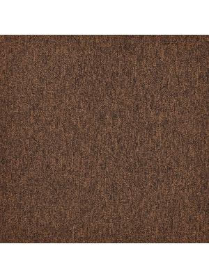 Koberce - First Forward sd b2b 50x50 cm - MOD-FFORWARD - 283