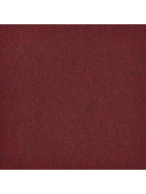 Koberce - First Forward sd b2b 50x50 cm - MOD-FFORWARD - 329