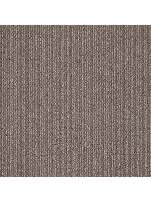 Koberce - First Streamline sd b2b 50x50 cm - MOD-FSTREAM - 106
