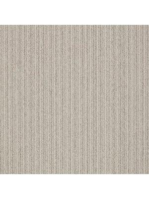 Carpets - First Streamline sd b2b 50x50 cm - MOD-FSTREAM - 130