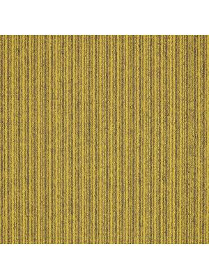 Carpets - First Streamline sd b2b 50x50 cm - MOD-FSTREAM - 210