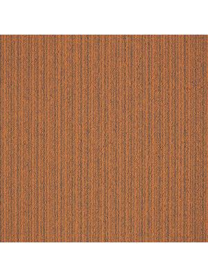 Koberce - First Streamline sd b2b 50x50 cm - MOD-FSTREAM - 306