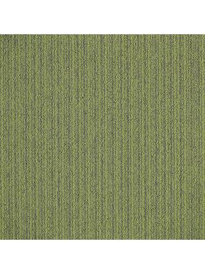 Carpets - First Streamline sd b2b 50x50 cm - MOD-FSTREAM - 669
