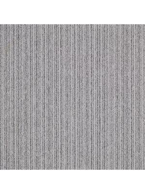 Carpets - First Streamline sd b2b 50x50 cm - MOD-FSTREAM - 914