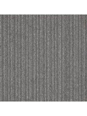 Koberce - First Streamline sd b2b 50x50 cm - MOD-FSTREAM - 942