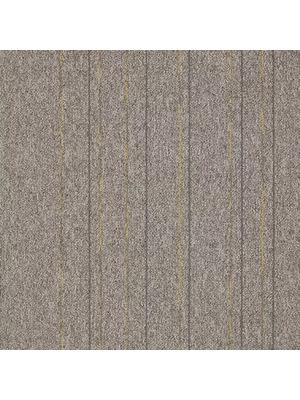 Carpets - First Straightline sd b2b 50x50 cm - MOD-FSTRAIG - 142