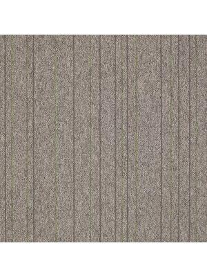 Carpets - First Straightline sd b2b 50x50 cm - MOD-FSTRAIG - 146