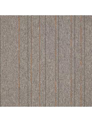 Carpets - First Straightline sd b2b 50x50 cm - MOD-FSTRAIG - 147