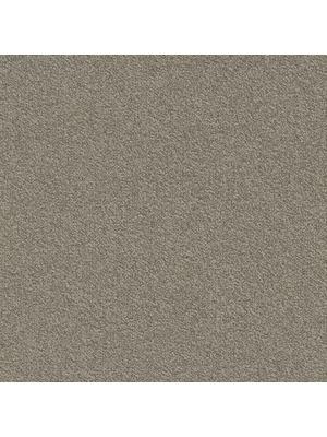 Carpets - Millennium Nxtgen sd b2b 50x50 cm - MOD-MILLENNIUM - 061