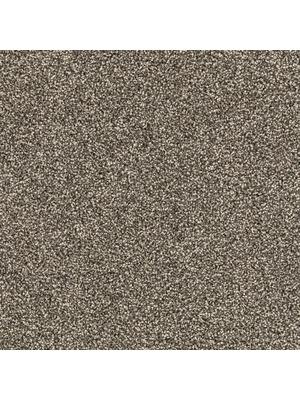 Carpets - DSGN Force sd b2b 50x50 cm - MOD-FORCE - 42