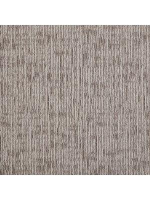 Koberce - DSGN Absolute sd b2b 50x50 cm - MOD-ABSOLUTE - 061