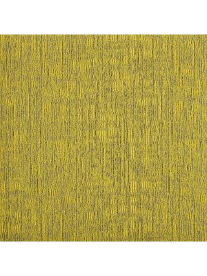 Koberce - DSGN Absolute sd b2b 50x50 cm - MOD-ABSOLUTE - 204