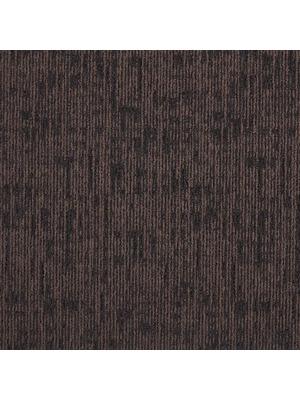 Koberce - DSGN Absolute sd b2b 50x50 cm - MOD-ABSOLUTE - 826