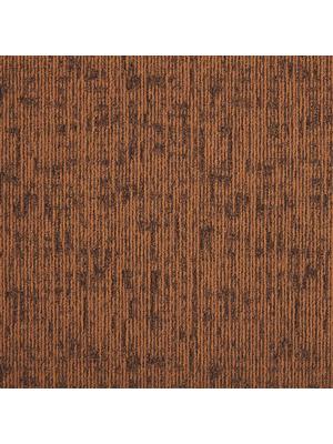 Koberce - DSGN Absolute sd b2b 50x50 cm - MOD-ABSOLUTE - 313