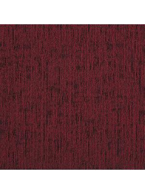 Koberce - DSGN Absolute sd b2b 50x50 cm - MOD-ABSOLUTE - 340