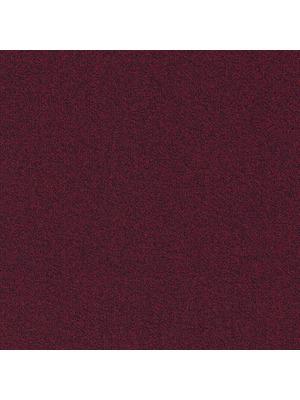 Koberce - Millennium Nxtgen sd b2b 50x50 cm - MOD-MILLENNIUM - 310