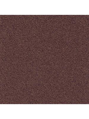 Carpets - Millennium Nxtgen sd b2b 50x50 cm - MOD-MILLENNIUM - 323