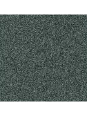 Carpets - Millennium Nxtgen sd b2b 50x50 cm - MOD-MILLENNIUM - 579