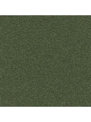 Carpets - Millennium Nxtgen sd b2b 50x50 cm - MOD-MILLENNIUM - 626
