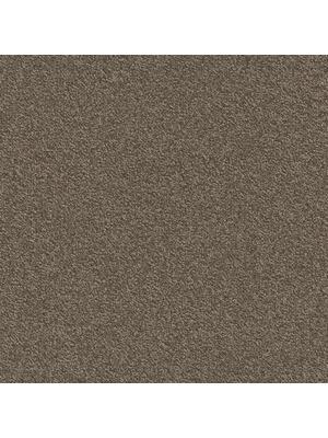 Carpets - Millennium Nxtgen sd eco 50x50 cm - MOD-MILLENNIUME - 140