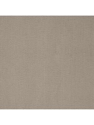 Koberce - pm-Suite Symphony Schubert ab 400 - BLT-SSSCHUBERT - 134