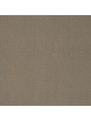 Koberce - pm-Suite Symphony Schubert ab 400 - BLT-SSSCHUBERT - 143