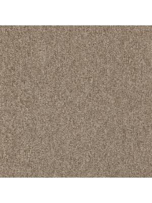Carpets - Master ab 400 - BLT-MASTER - 036