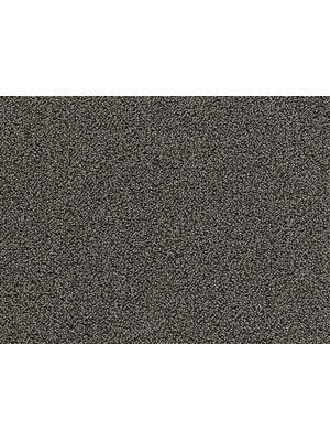 Koberce - e-Firm sd ab 400 - BLT-EFIRM - 049