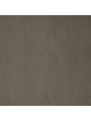 Carpets - Prominent ab 400 - BLT-PROMINENT - 49