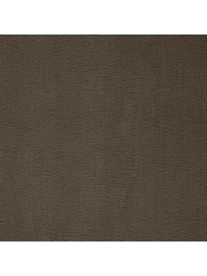 Koberce - Prominent ab 400 - BLT-PROMINENT - 48