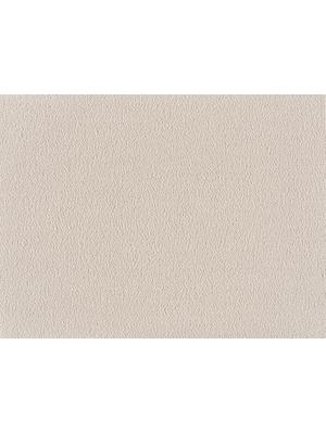 Contract carpets - Sofia 32 kt 400 500 - LN-SOFIA - 440 Ivory