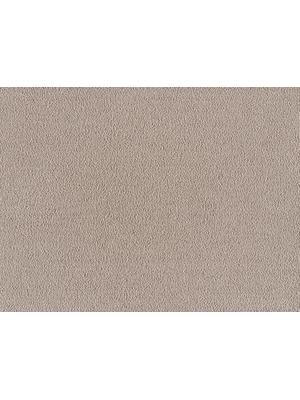 Contract carpets - Sofia 32 kt 400 500 - LN-SOFIA - 260 Camel