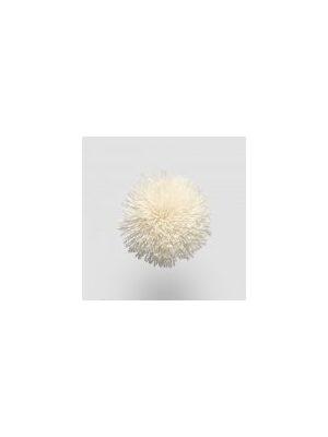 Koberce - FdS Band 0 Mohair (TW) 45 mm - FERR-MOHAIRTW - TW535 Almond