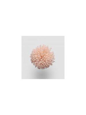 Koberce - FdS Band 0 New Zealand Wool (W) - FERR-NZWWNW - W214 Apricot Blush